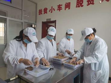 宝鸡：线上线下齐发力   让贫困群众就业“稳稳的”