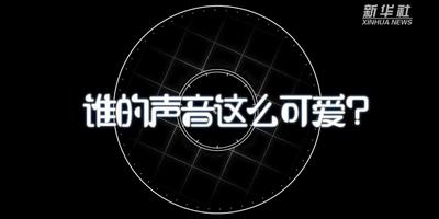 直通进博会 | 嘘！这是什么声音？