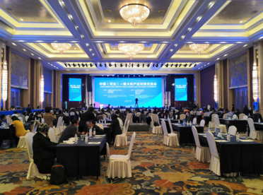 中国（河北）—意大利产业对接交流会在石家庄举办