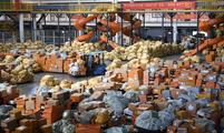 ​Singles' Day shopping festival boosts new consumption business, model