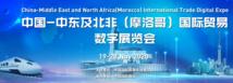 Buyers from Middle East, North Africa look for business opportunities in China via online expo