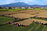 NW China's largest TCM herbs logistics base starts operation 