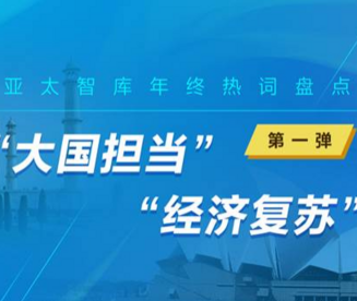 【新华丝路年终盘点】2020年亚太智库研究“新风向”