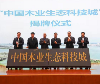 山东临沂市兰山区获评“中国木业生态科技城”