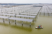 China's listed firms increase investment in PV industry
