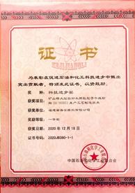 海安橡胶获中国石油和化学工业联合会科技进步一等奖