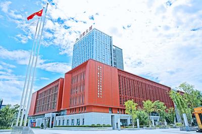 全面融入“一带一路”  重庆市沙坪坝区加速推进陆港型国家物流枢纽建设 