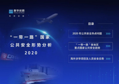 新华丝路《“一带一路”国家公共安全形势分析2020》报告在京发布