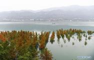 ​SW. China's Chongqing remains leading in sci-tech innovation, report