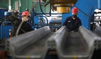 China's steel consumption to increase 150-200 mln tonnes in 2021-2025: expert