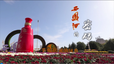 红西凤品牌故事 | 西凤密码