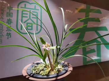 首届中国春兰节在浙江绍兴柯桥举行