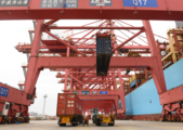 Ningbo-Zhoushan Port records more container throughput year to date