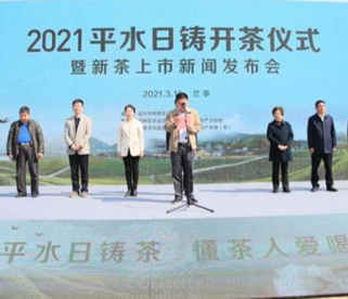 浙江柯桥平水日铸茶开采  达成春茶销售意向百万元