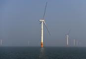 E.China's Shandong's first offshore wind power project starts construction  