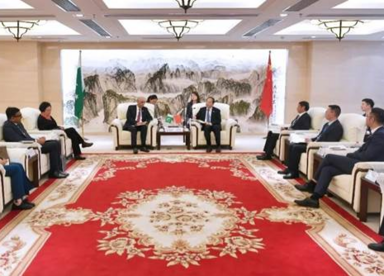 蓝迪国际智库与巴基斯坦驻华大使一行共同调研武汉葛洲坝集团总部