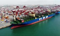 Container throughput of Shandong's ports hits record high in Q1