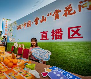 政府搭台“胡柚”唱戏  浙江常山“赏花问柚”全面推进乡村振兴