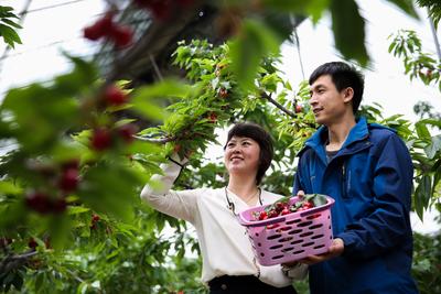 北京大兴区发布“五一”小长假精品旅游线路