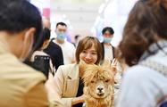 Scale of China's pet industry projected to reach RMB445.6 bln by 2023, iResearch