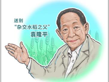 袁隆平最后的时光：病危之际，还关心稻子长势