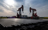 【Financial Str. Release】China nods crude oil, palm oil options trading from late June