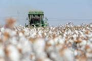 China's textile & garment exports show positive trends in Jan-Apr