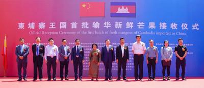 柬埔寨首批输华新鲜芒果进入中国华北市场