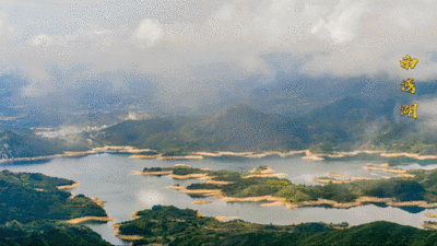 2021大别山再出发·发现丝路最美茶乡