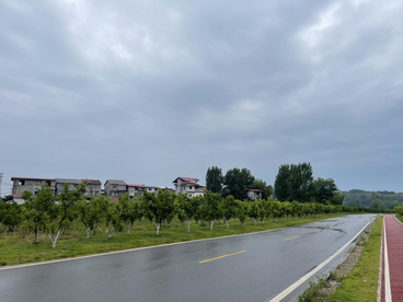 中国铁建：“F+B”投融建模式助力乡村道路互联互通