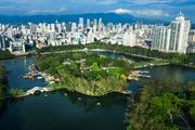 ​Fintech can play key role in China's transition to low-carbon economy, report
