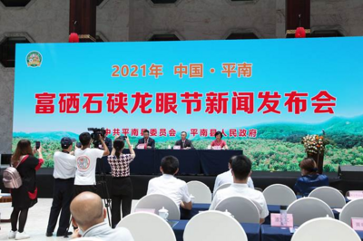 广西平南：龙眼迎来丰年 多措并举促产销对接