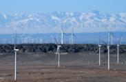 China's wind power industry outperforms in H1