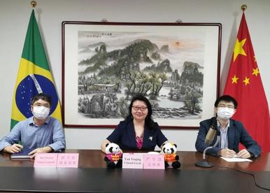 中国与巴西举行友好城市云端对话会