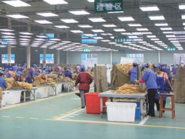 ​湖南中烟：“造血式”帮扶助力乡村换新颜