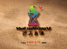 《沙画陕西》第三集：解码高新 魅力之城
