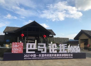 2021中国—东盟传统医药健康旅游国际论坛开幕