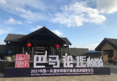 2021中国—东盟传统医药健康旅游国际论坛开幕