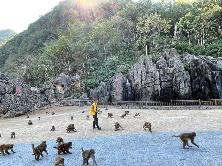 广西凤山：大石山劈开乡村振兴新路