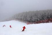 Ice and snow sports equipment industry is riding the wave of the Beijing Winter Olympics