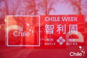 China is very important for Chile, ambassador