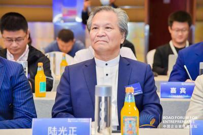 中国工艺美术大师陆光正：东阳木雕的创新发展要注重贴近人民生活、打造大国名片