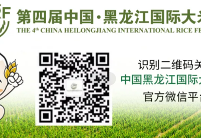 稻米飘香世界 第四届中国·黑龙江国际大米节将召开