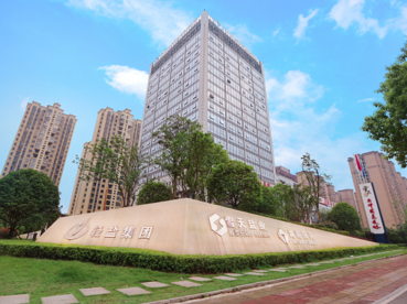 “盐业湘军”转型记
