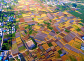 Understanding Shandong: China's Shandong bolsters financial, fiscal supports for green development