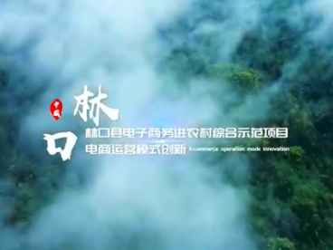 黑龙江林口：电商创新赋能县域经济新动能