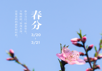 全球连线｜二十四节气大赏之四：春分