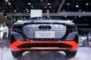 China remains Audi's biggest single market in 2021: annual report