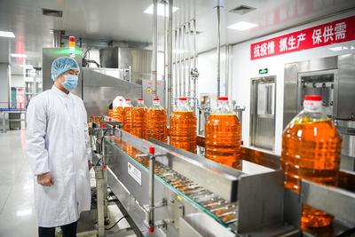 在高水平开放中迈向振兴——外资加大投资东北现象观察