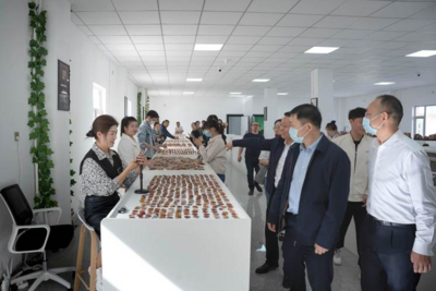 湖南省援疆前方指挥部指挥长、吐鲁番市委副书记刘中杰一行莅临鄯善县电子商务公共服务中心参观指导工作